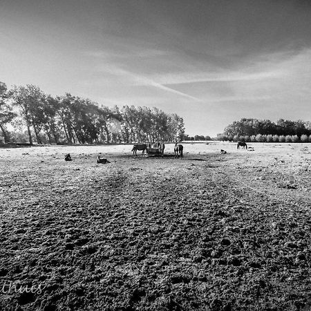 Bed & Breakfast De Bimd Hoeve De Bus Exteriör bild